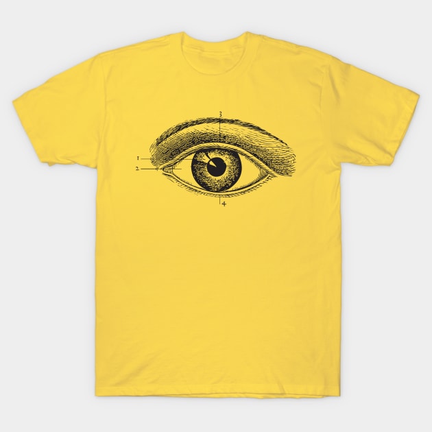 Eye Anatomy T-Shirt by chapter2